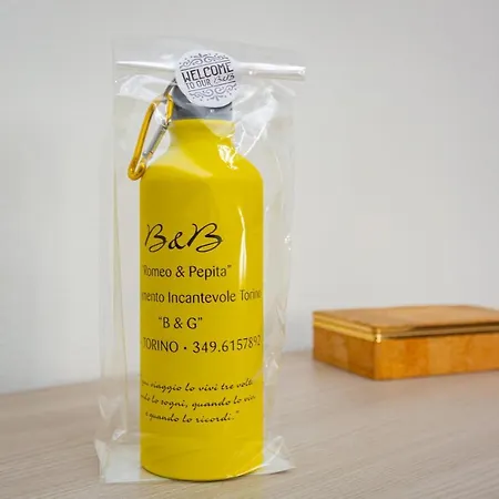 Da Gildina Apartman Torino